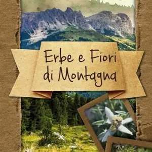 Erbe e fiori di montagna. Ediz. illustrata Popolare
