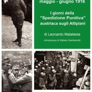 Strafexpedition maggio-giugno 1916. I giorni della «spedizione punitiva» austriaca sugli Altipiani Affare