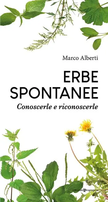 Must-Have Erbe spontanee. Conoscerle e riconoscerle