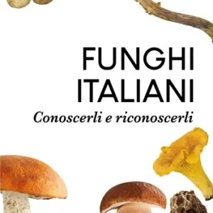 Funghi italiani. Conoscerli e riconoscerli Più Venduto