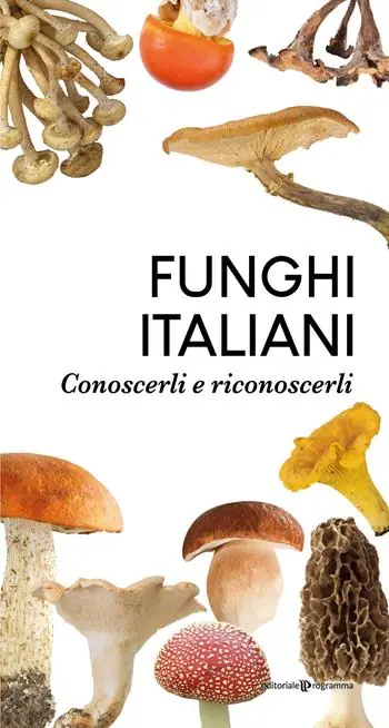 Funghi italiani. Conoscerli e riconoscerli Più Venduto