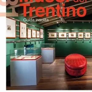 Bestseller 131 musei del Trentino. Guida insolita