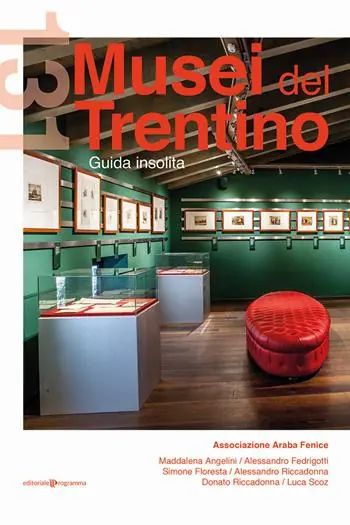 Bestseller 131 musei del Trentino. Guida insolita