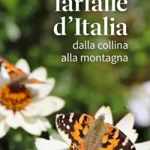 A Buon Prezzo Conoscere le farfalle d‘Italia dalla collina alla montagna