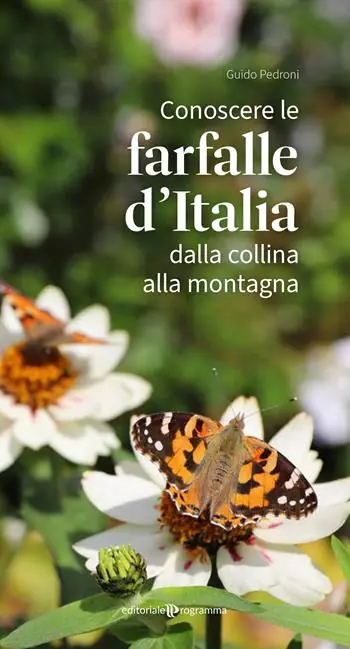 A Buon Prezzo Conoscere le farfalle d‘Italia dalla collina alla montagna