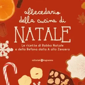 Abbecedario della cucina di Natale. Le ricette di Babbo Natale e della Befana dalla A allo Zenzero Super Prezzo