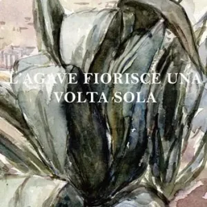 L‘ agave fiorisce una volta sola Must-Have