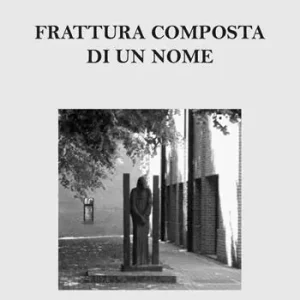 Compra Online Frattura composta di un nome