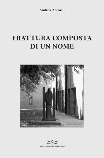 Compra Online Frattura composta di un nome