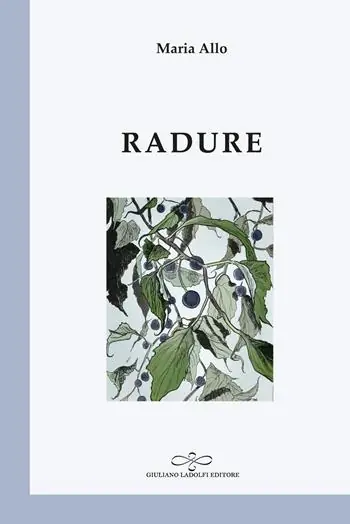 Soddisfatti O Rimborsati Radure