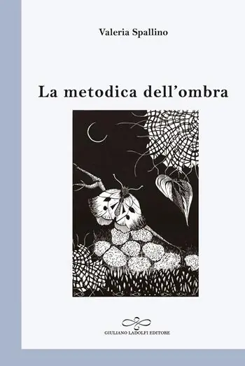 Direttamente Dal Produttore La metodica dell‘ombra