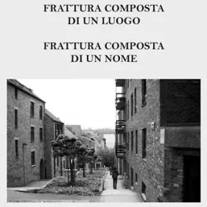 Frattura composta di un luogo. Frattura composta di un nome Prezzo Basso