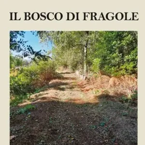Il bosco di fragole Di Tendenza