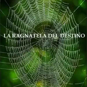 Affare La ragnatela del destino
