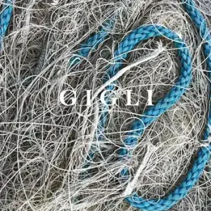 Reso Gratuito Gigli