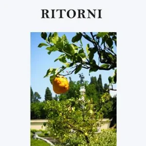 Spedizione Espresso Ritorni
