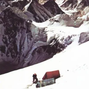 Compra Adesso K2. La storia continua