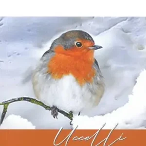 Uccelli Saldi