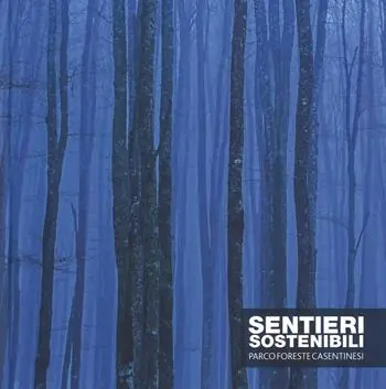 Must-Have Sentieri sostenibili. Parco foreste casentinesi. Ediz. italiana e inglese