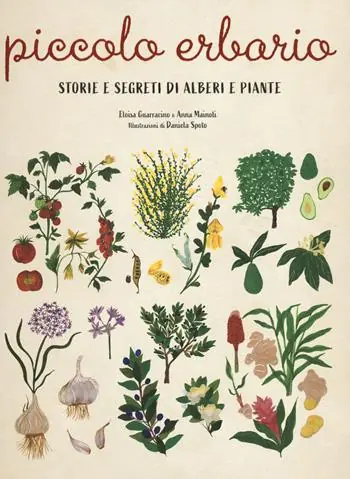 Piccolo erbario. Storie e segreti di alberi e piante. Ediz. a colori Saldi