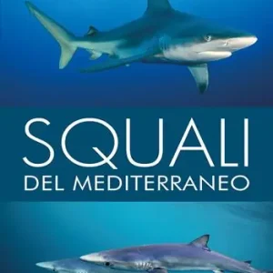Squali del Mediterraneo. Ediz. a colori Promozione