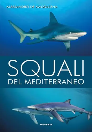 Squali del Mediterraneo. Ediz. a colori Promozione