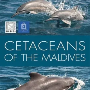 Cetaceans of the Maldives Soddisfatti O Rimborsati