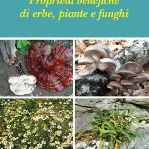 Proprietà benefiche di erbe, piante e funghi Must-Have
