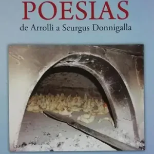 Poesias de Arrolli a Seurgus Donigalla Offerta Lampo