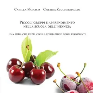 Offerta Piccoli gruppi e apprendimento nella scuola dell‘infanzia. Una sfida che inizia con la formazione degli insegnanti