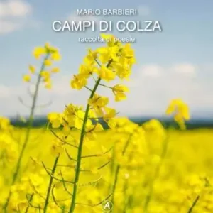 Campi di colza Promozione Esclusiva