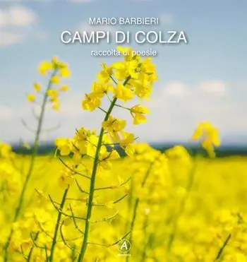 Campi di colza Promozione Esclusiva