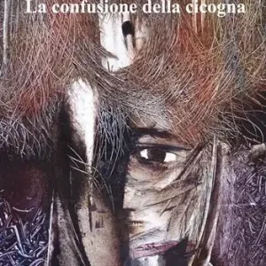 La confusione della cicogna Nuovo Arrivo