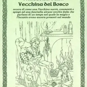 I racconti della vecchina del bosco. Ovvero di come una vecchina narrò, commentò e spiegò ad una fanciulla alcune vecchie fiabe Ordina Subito