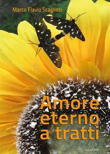 Prezzo Ridotto Amore eterno a tratti