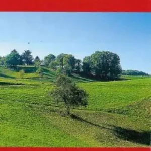 Il Montello 1 30.000 1cm=300m. Ciclo turismo, mountain bike Solo Oggi
