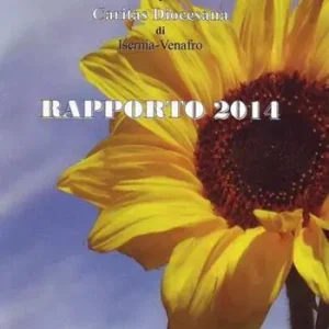 Rapporto 2014 Spedito Oggi
