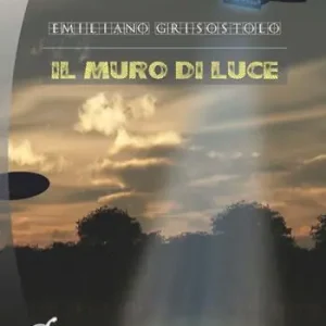 Il muro di luce Compra Online