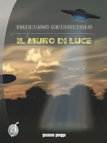 Il muro di luce Compra Online