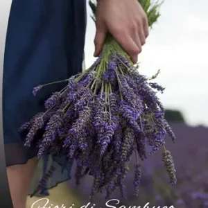 Affare Fiori di sambuco e menta