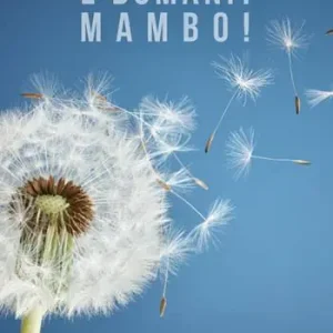 Nuovo Arrivo E domani? Mambo!