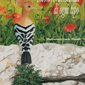 Soddisfatti O Rimborsati Incontri ravvicinati di ogni tipo