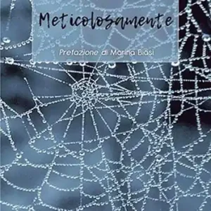 Spedizione Espresso Meticolosamente