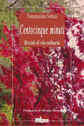 Centocinque minuti. Briciole di vita ordinaria Subito Disponibile