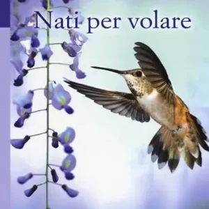 Ultimissimo Modello Nati per volare