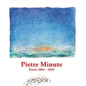 Economico Pietre minute. Poesie 2004-2020