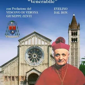 Subito Disponibile Giuseppe Carraro. Vescovo lungimirante «Venerabile». Ediz. illustrata