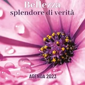 Scelto Dai Clienti Bellezza splendore di verità. Agenda 2023