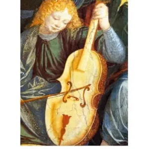 Di Tendenza Vivido, vibrante violin
