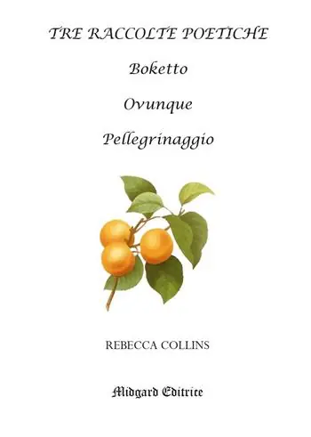 Prezzo Di Fabbrica Tre raccolte poetiche